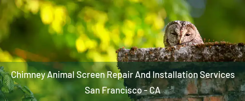  Chimney Animal Screen Repair And Installation Services San Francisco - CA